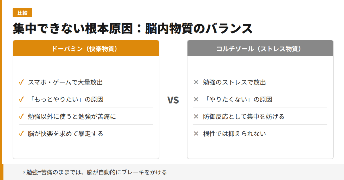 集中できない根本原因：脳内物質のバランス